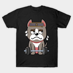 Cute grey dog is exercising T-Shirt